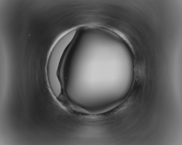 X0000086780959200705041525