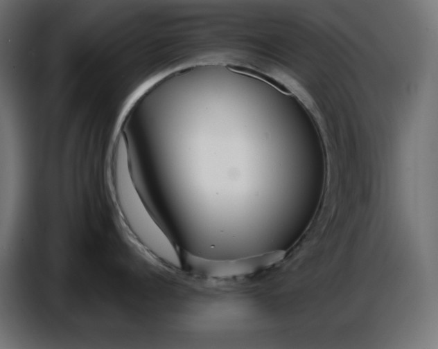 X0000086780960200705041525