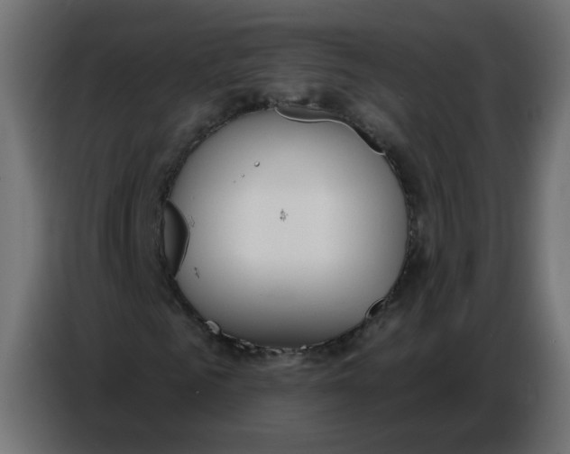 X0000086780961200705041525