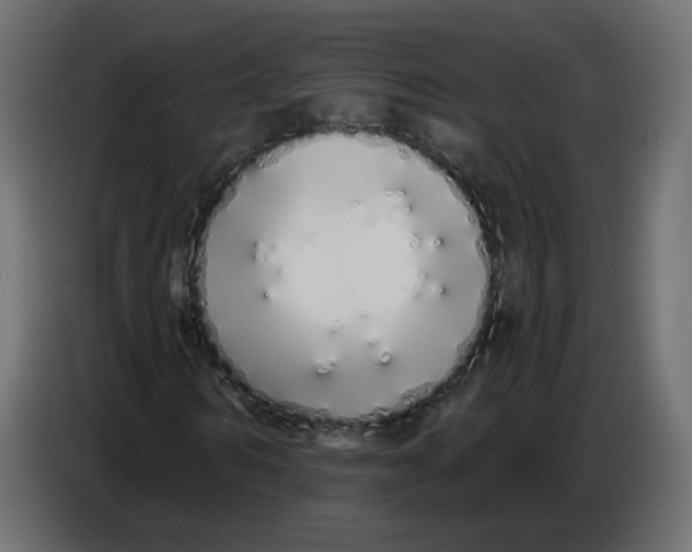 X0000086780962200705041525