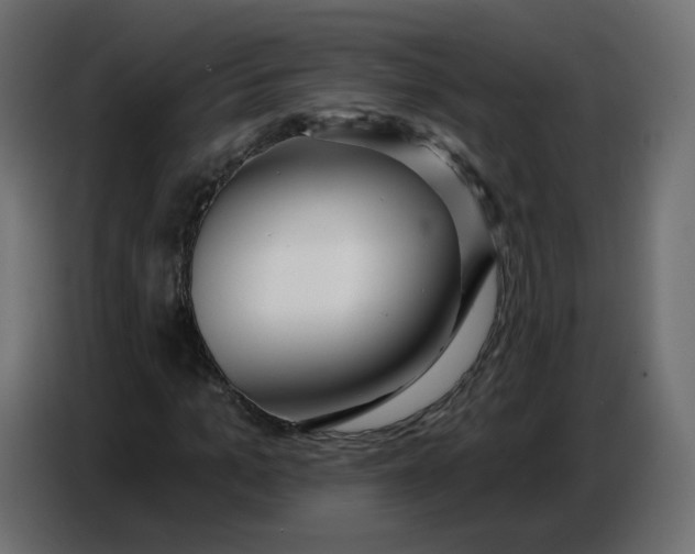 X0000086780965200705041525