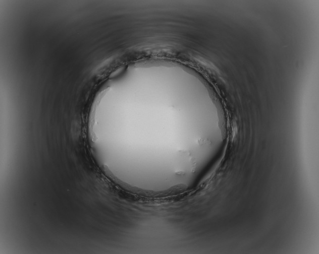 X0000086780966200705041525