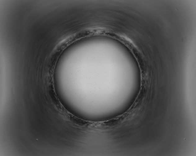 X0000086780967200705041525