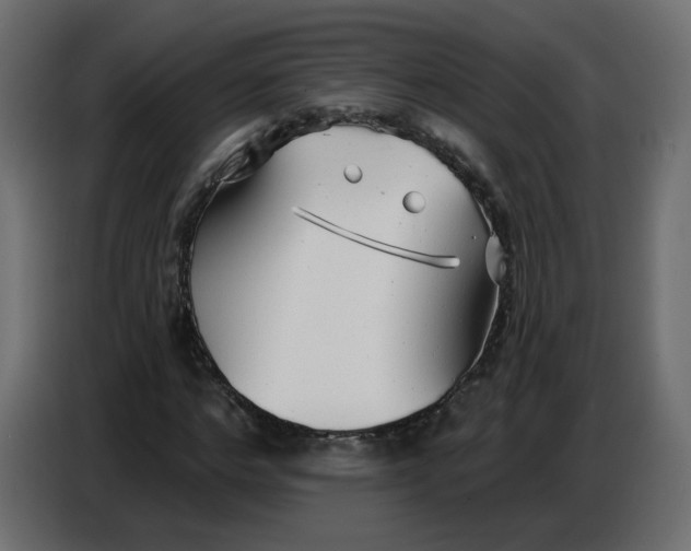 X0000086780968200705041525