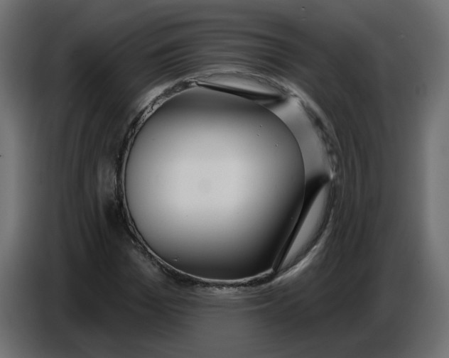 X0000086780969200705041525