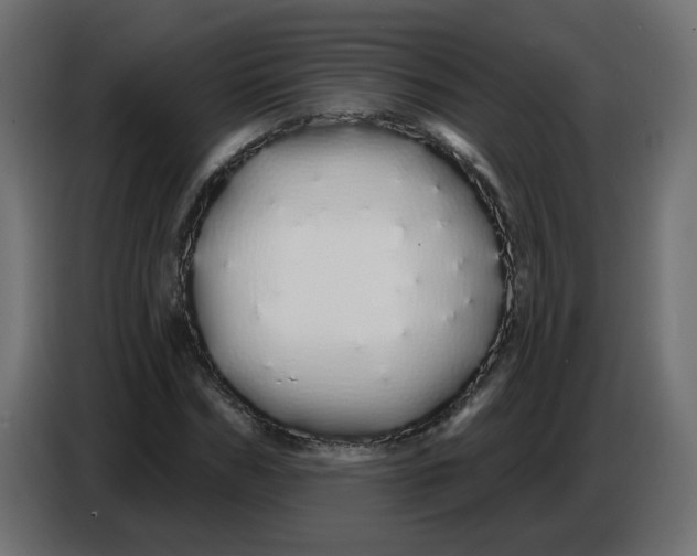 X0000086780970200705041525