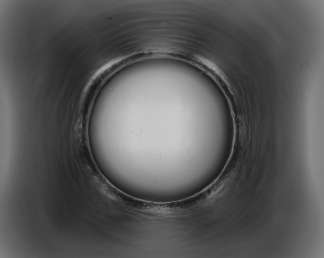 X0000086780971200705041525