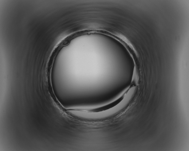 X0000086780972200705041525