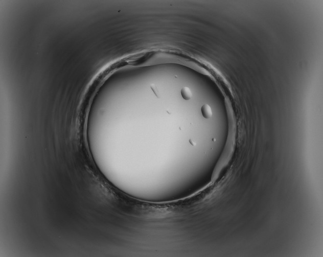 X0000086780975200705041525