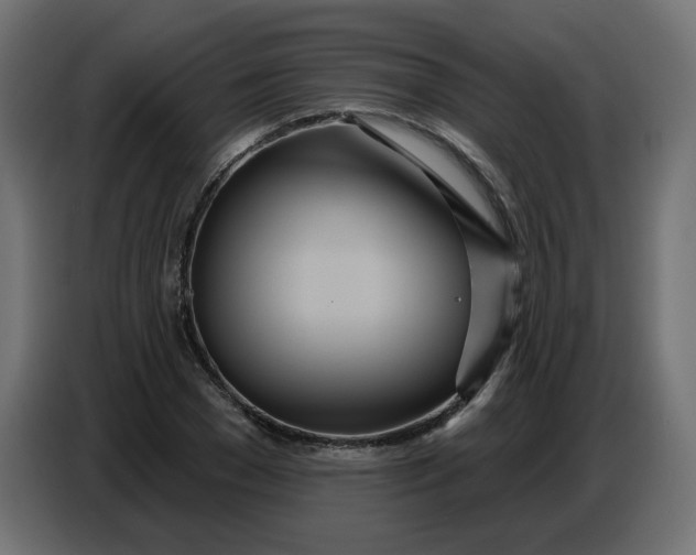 X0000086780977200705041525