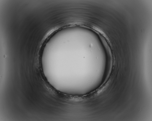 X0000086780978200705041525