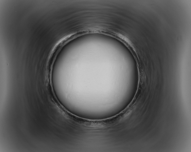 X0000086780979200705041525