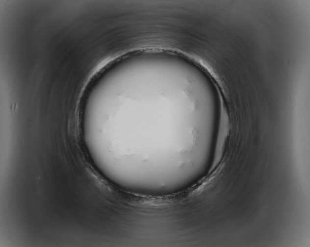 X0000086780982200705041524