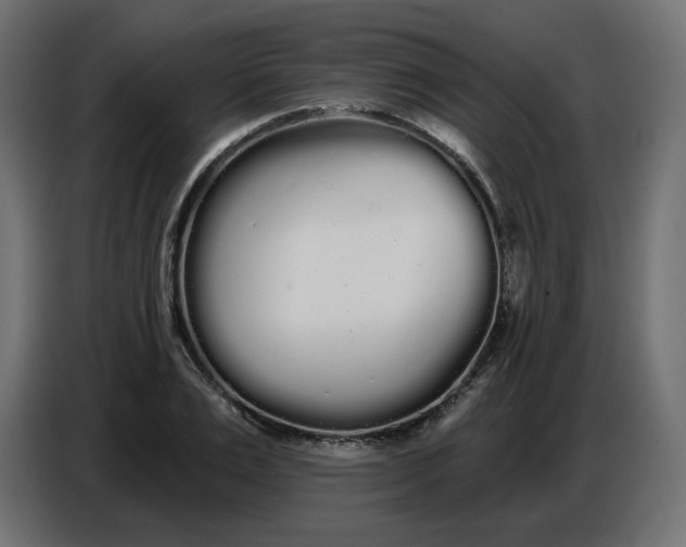 X0000086780983200705041524