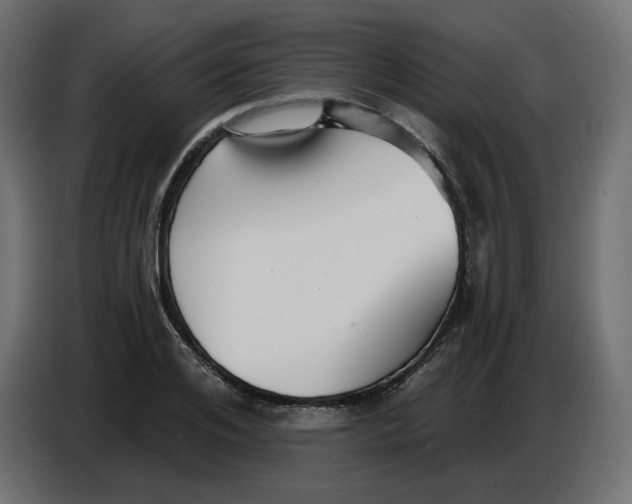 X0000086780984200705041524