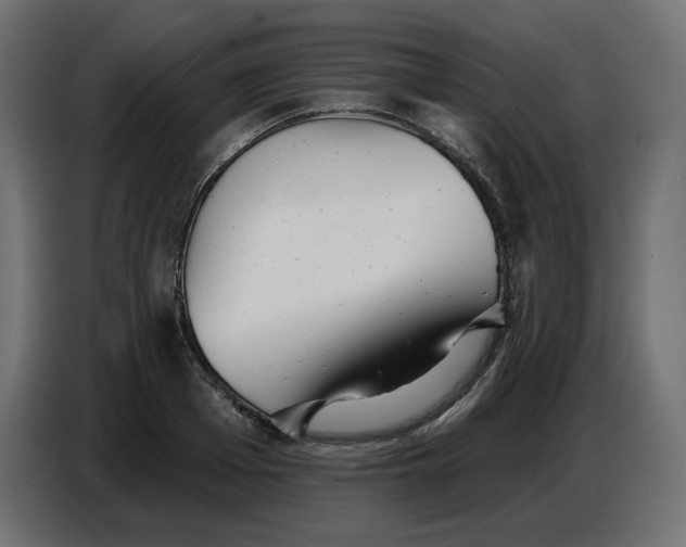 X0000086780985200705041524