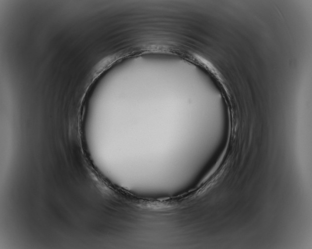 X0000086780986200705041524