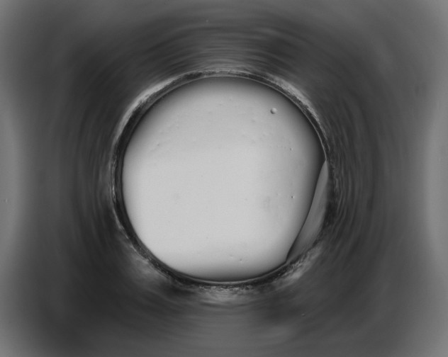 X0000086780987200705041524