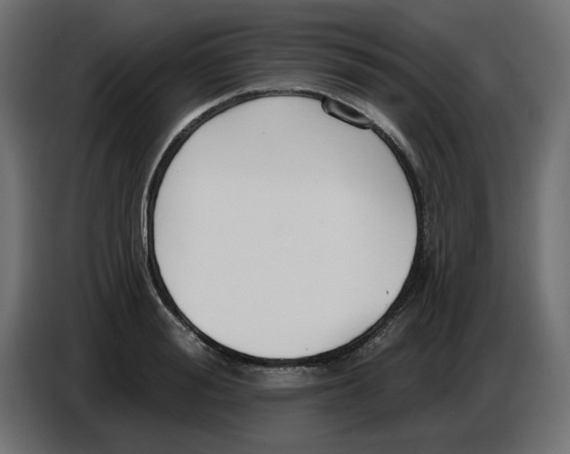 X0000086780988200705041524