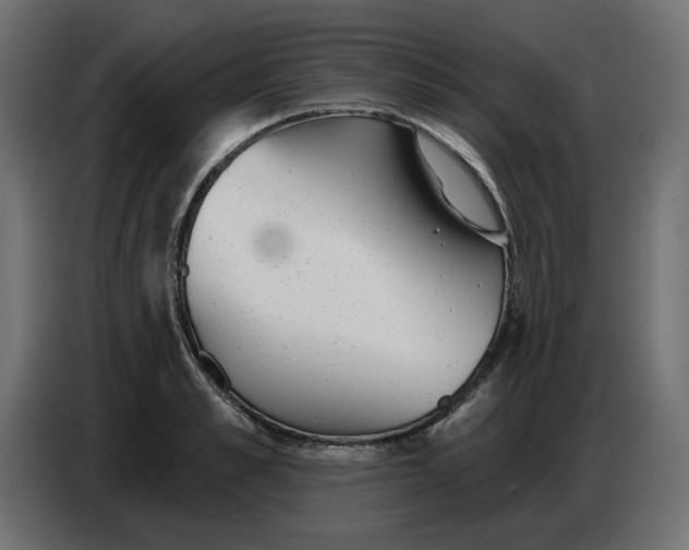 X0000086780989200705041524