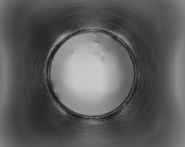 X0000086780990200705041524