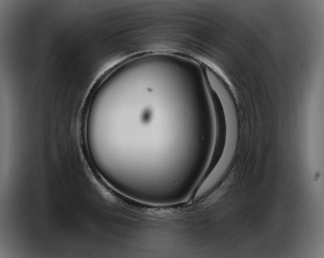 X0000086780991200705041524