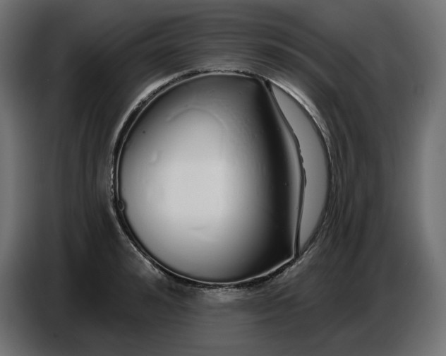 X0000086780992200705041524