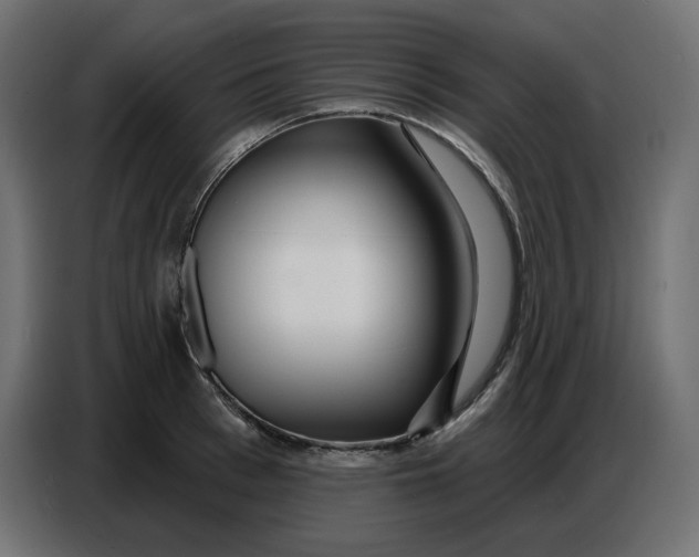 X0000086780993200705041524