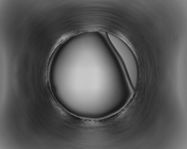 X0000086780994200705041524