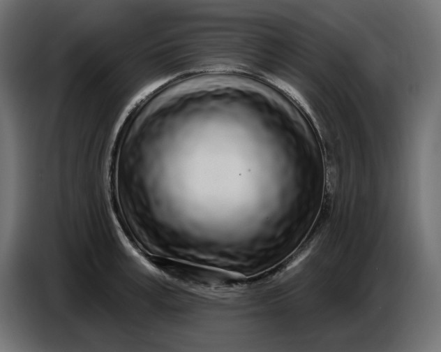 X0000086780995200705041524