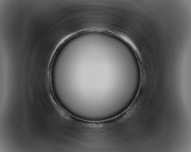 X0000086780996200705041524