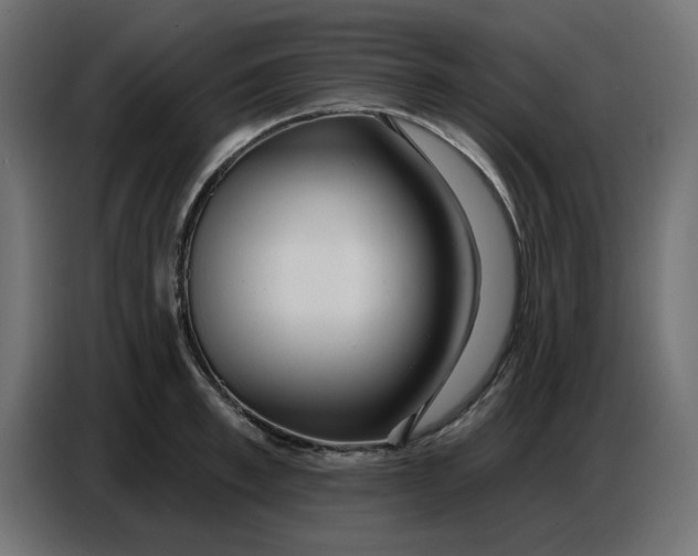 X0000086780997200705041524