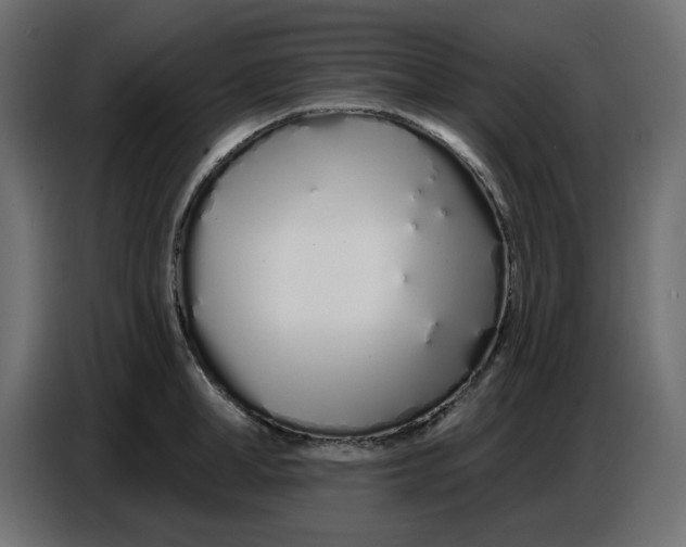 X0000086780998200705041524