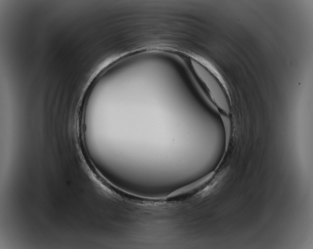 X0000086780999200705041524