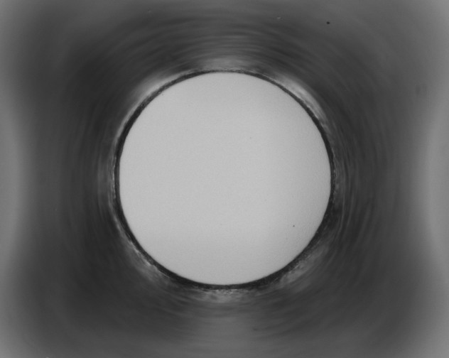 X0000086781000200705041524