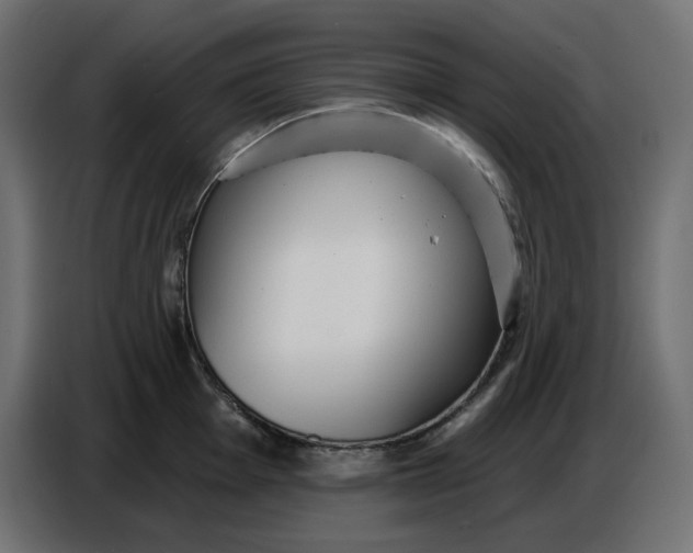 X0000086781001200705041524