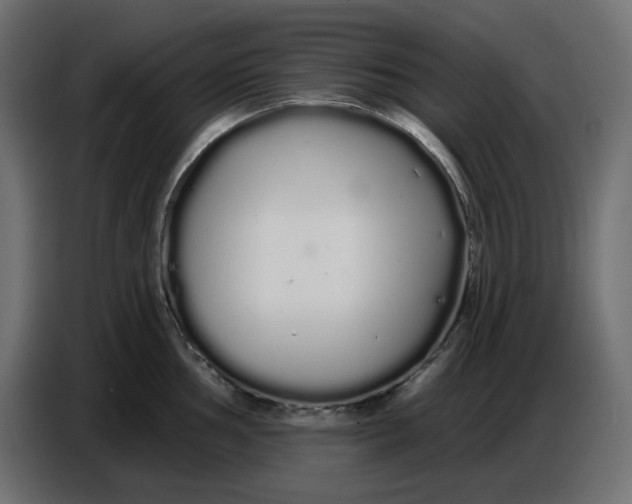 X0000086781002200705041524