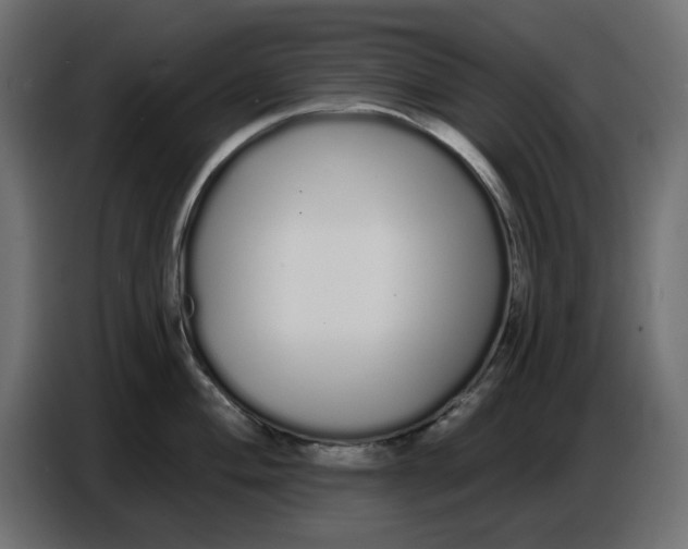 X0000086781004200705041524