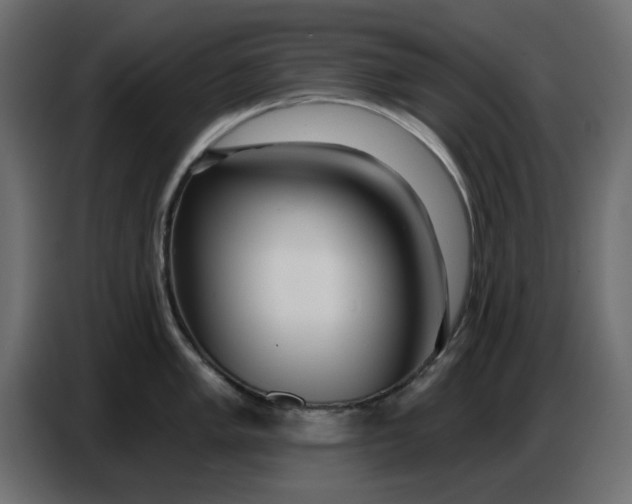 X0000086781005200705041524