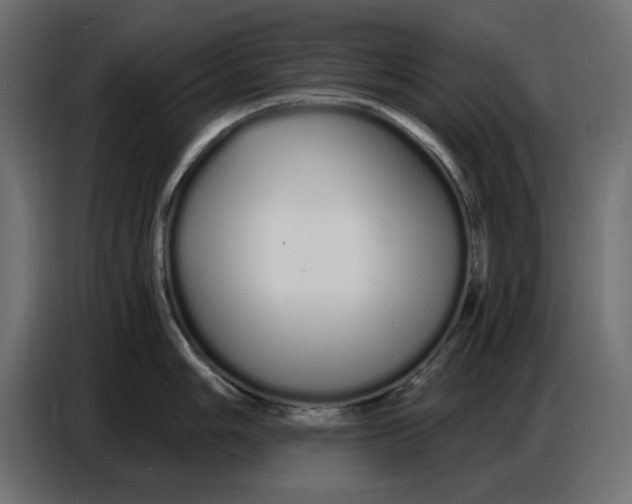 X0000086781006200705041524