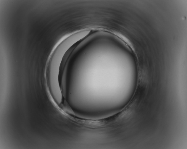 X0000086781007200705041524