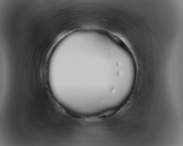 X0000086781008200705041524