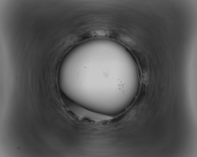 X0000086781009200705041524