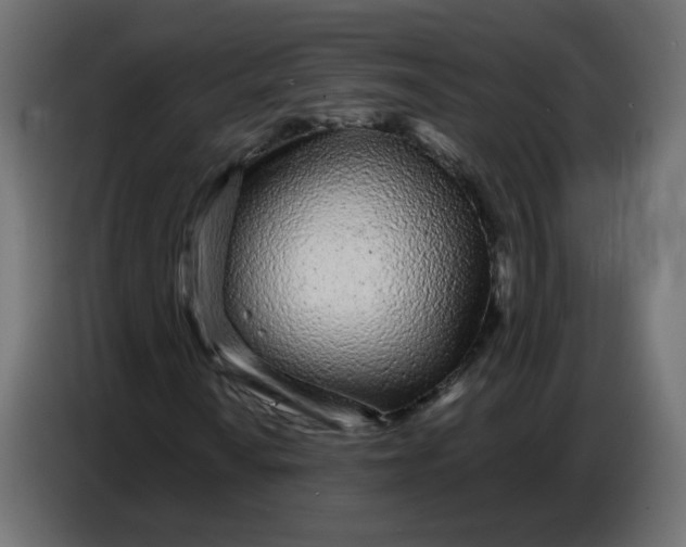 X0000086781010200705041524