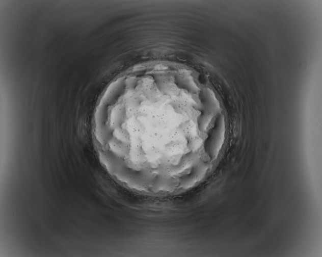 X0000086781011200705041524