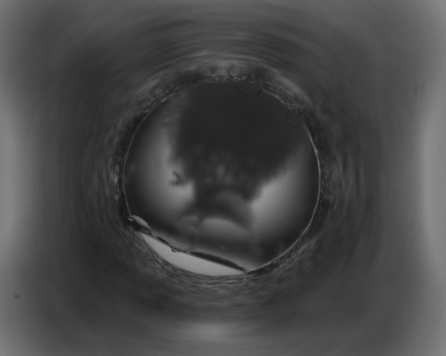 X0000086781013200705041524