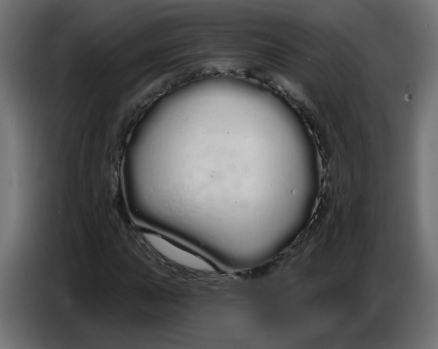 X0000086781015200705041524