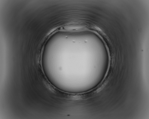 X0000086781017200705041524