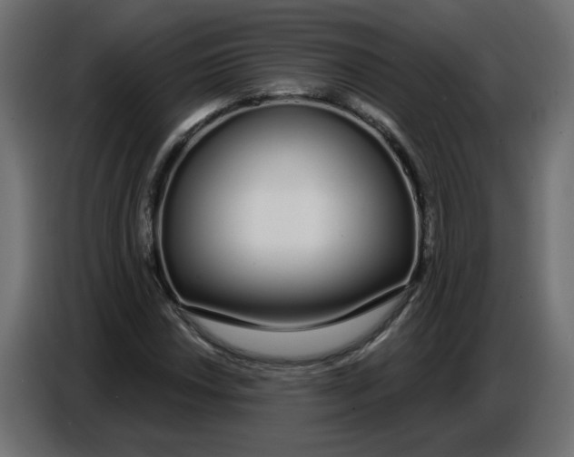 X0000086781018200705041524