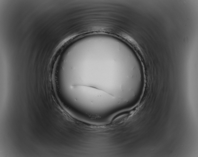 X0000086781019200705041524